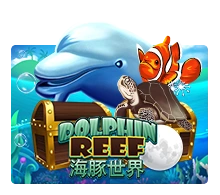 Joker123 : Dolphin Reef - BEERSLOT365